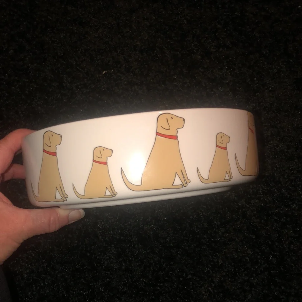Sweet William dog bowl. No chips or cracks